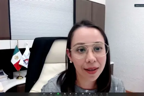 Captura de pantalla de la sesión virtual