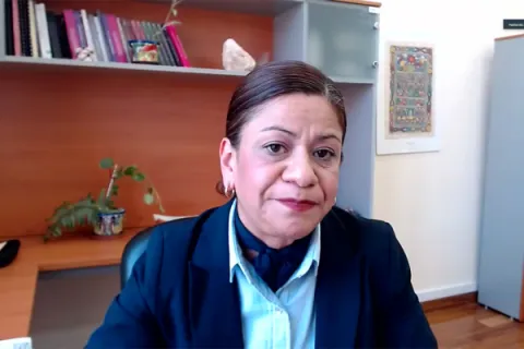 Captura de pantalla de la sesión virtual