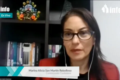 Captura de pantalla de la sesión virtual
