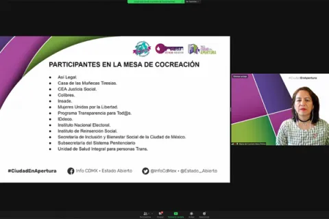 Captura de pantalla de la sesión virtual