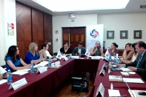 Captura de pantalla de la sesión virtual