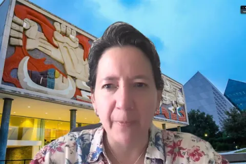 Captura de pantalla de la sesión virtual