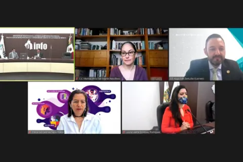 Captura de pantalla de la sesión virtual