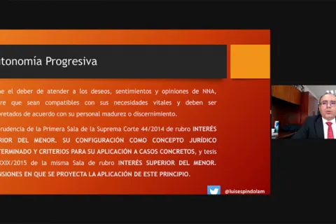 Captura de pantalla de la sesión virtual