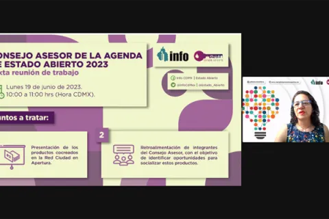 Captura de pantalla de la reunión virtual