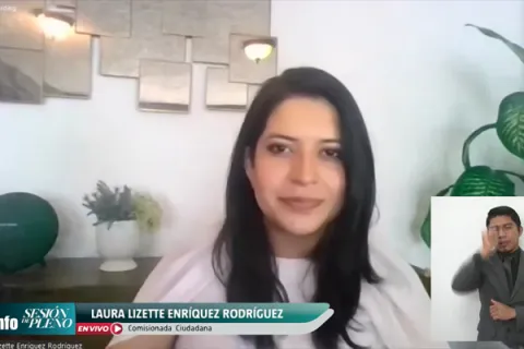 Captura de pantalla de la sesión virtual