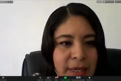Captura de pantalla de la sesión virtual