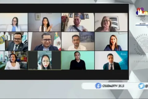 Captura de pantalla de la sesión virtual