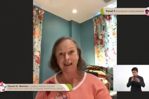 Captura de pantalla de la sesión virtual