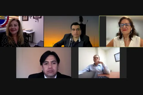 Captura de pantalla de la sesión virtual