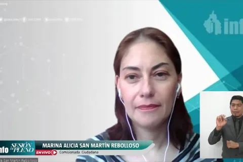 Captura de pantalla de la sesión virtual