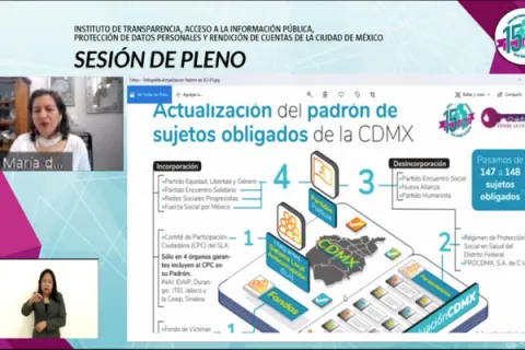 Captura de pantalla de la sesión virtual