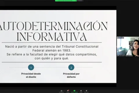 Captura de pantalla de la sesión virtual