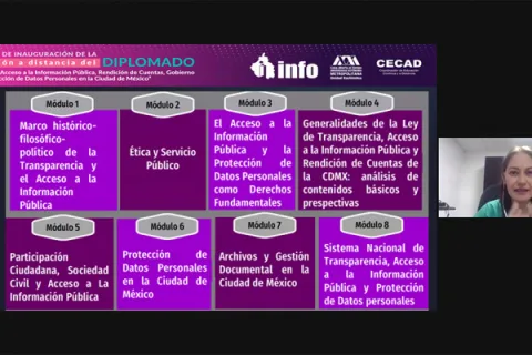 Captura de pantalla de la sesión virtual