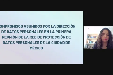 Captura de pantalla de la sesión virtual
