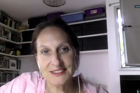 Captura de pantalla de la sesión virtual