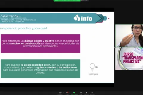 Captura de pantalla de la sesión virtual