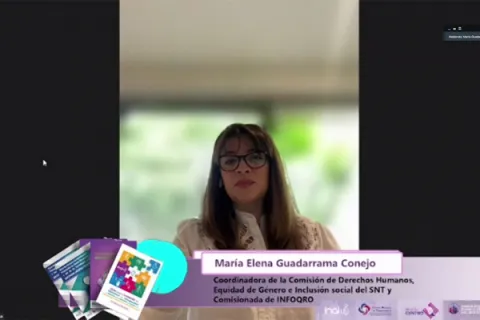 Captura de pantalla de la sesión virtual