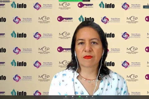 Captura de pantalla de la sesión virtual