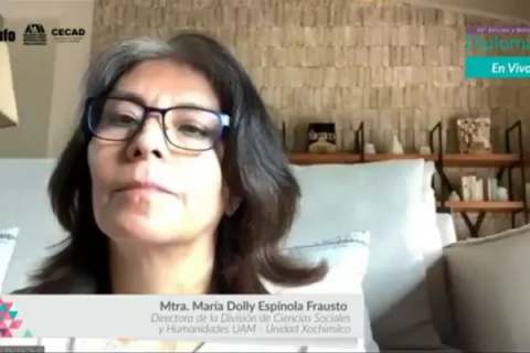 Captura de pantalla de la sesión virtual