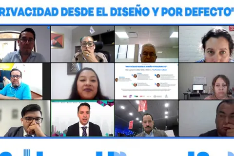 Captura de pantalla de la sesión virtual