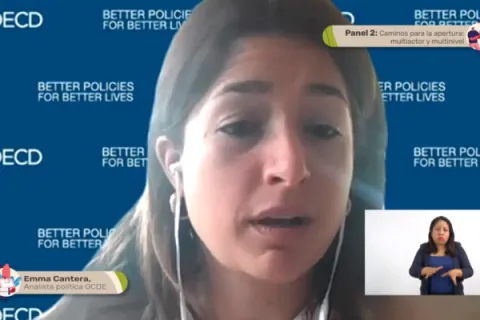 Captura de pantalla de la sesión virtual