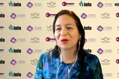 Captura de pantalla de la sesión virtual