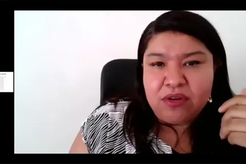 Captura de pantalla de la sesión virtual