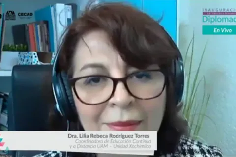 Captura de pantalla de la sesión virtual