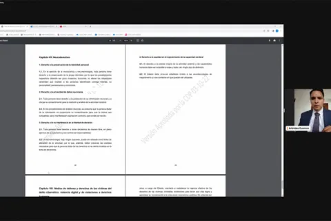 Captura de pantalla de la sesión virtual