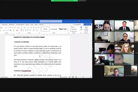 Captura de pantalla de la sesión virtual