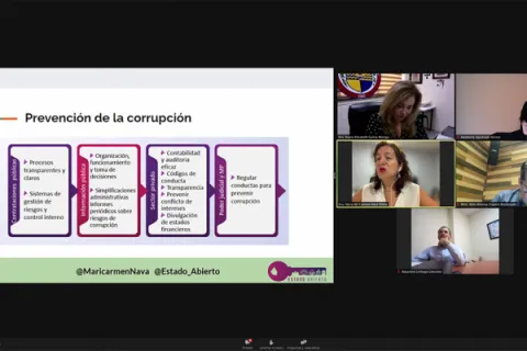 Captura de pantalla de la sesión virtual
