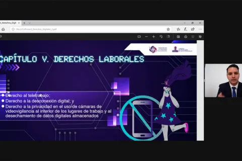 Captura de pantalla de la sesión virtual