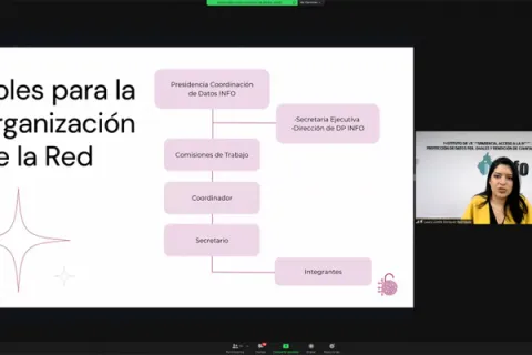 Captura de pantalla de la sesión virtual