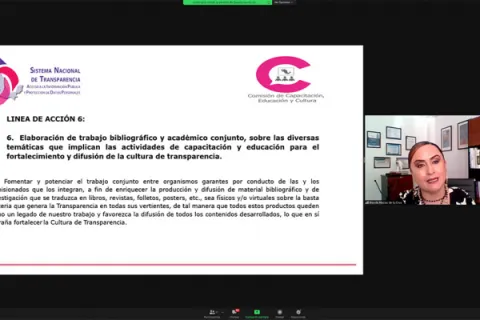 Captura de pantalla de la sesión virtual