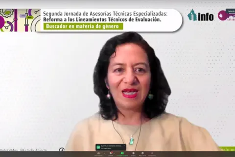 Captura de pantalla de la sesión virtual