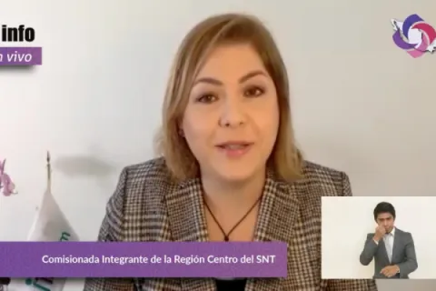Captura de pantalla de la sesión virtual