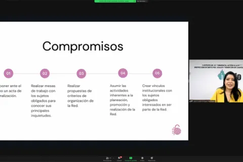 Captura de pantalla de la sesión virtual