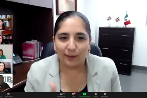 Captura de pantalla de la sesión virtual