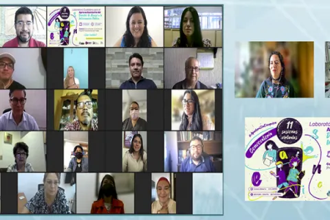 Captura de pantalla de la sesión virtual
