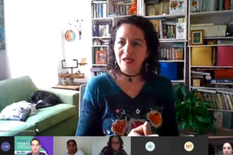 Captura de pantalla de la sesión virtual