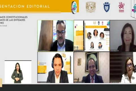 Captura de pantalla de la sesión virtual