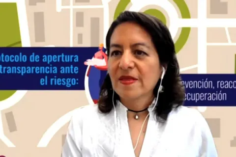 Captura de pantalla de la sesión virtual