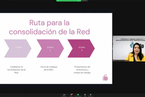 Captura de pantalla de la sesión virtual