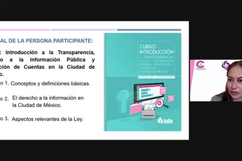 Captura de pantalla de la sesión virtual