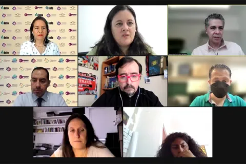 Captura de pantalla de la sesión virtual