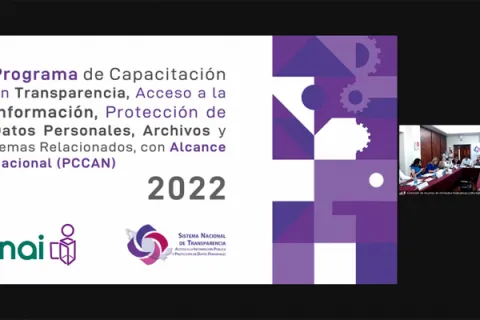 Captura de pantalla de la sesión virtual