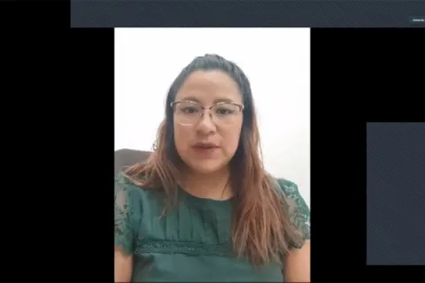 Captura de pantalla de la sesión virtual