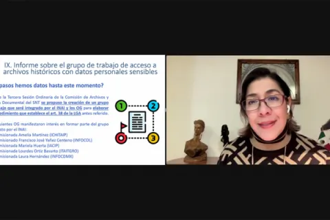 Captura de pantalla de la sesión virtual