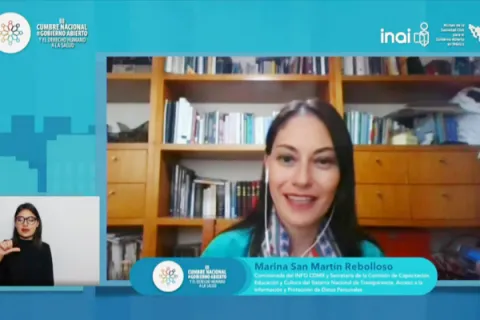 Captura de pantalla de la sesión virtual